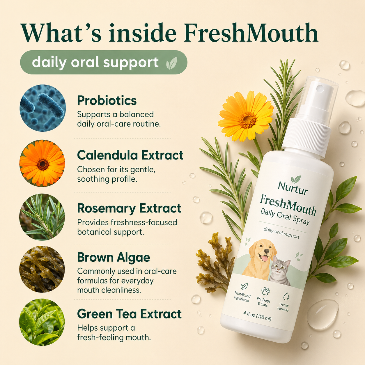 FreshMouth