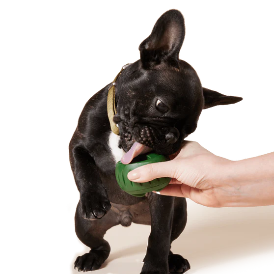 Pupsicle Treat Tray