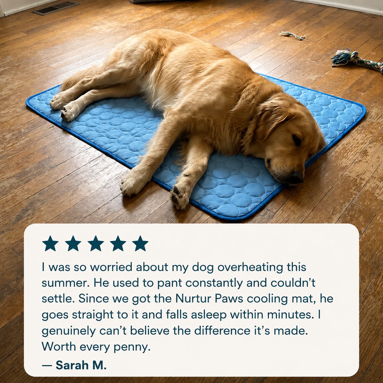 ChillPaws Cooling Mat